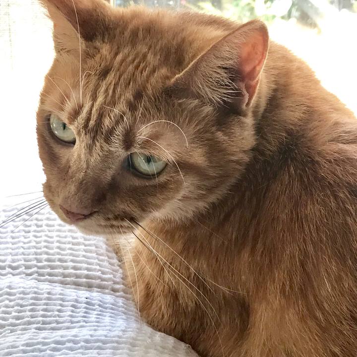 7a75f570 f268 4672 8a4c 7e9cbda848cf 1569977861274