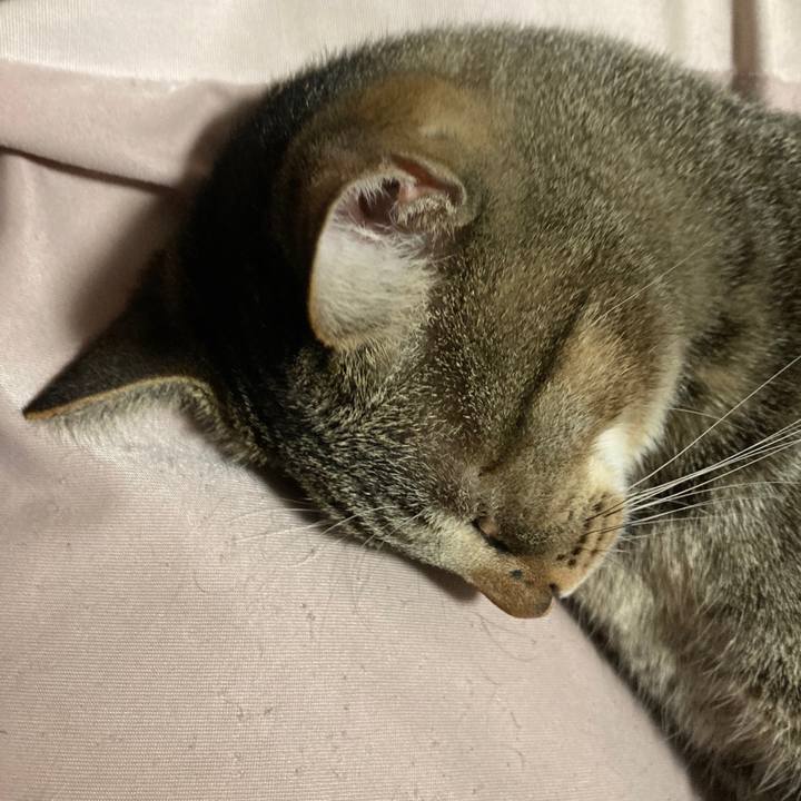 7a75f913 6a2e 4ee8 b15d 2dbb8f51d554 1758373082849