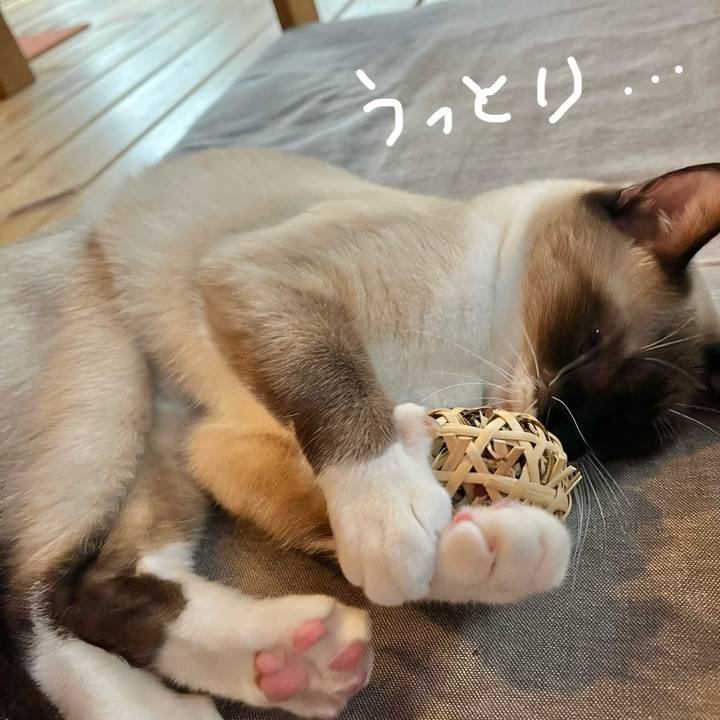 7a760b80 0fe6 4106 964f e039bb9acf42 1729379034357