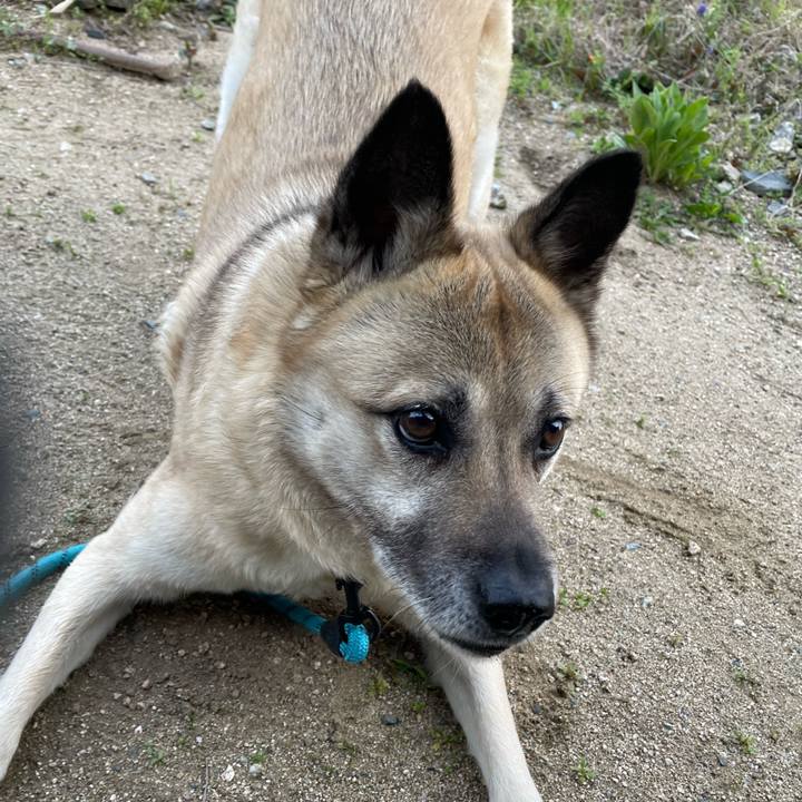 7a761bba 50a7 45df 8e80 acf6a6629f68 1680269376472