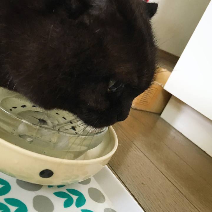 7a76272f 4b5b 4831 9fbb d26763050e9b 1527154230718