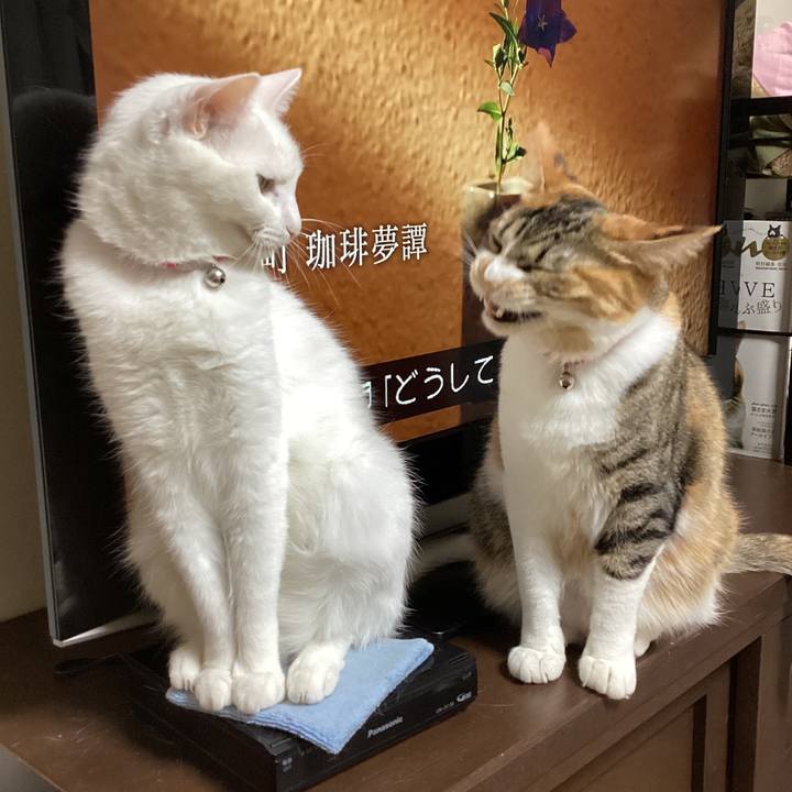 7a763f16 ba52 4ead 9270 fe59ccbd3dff 1704256073416