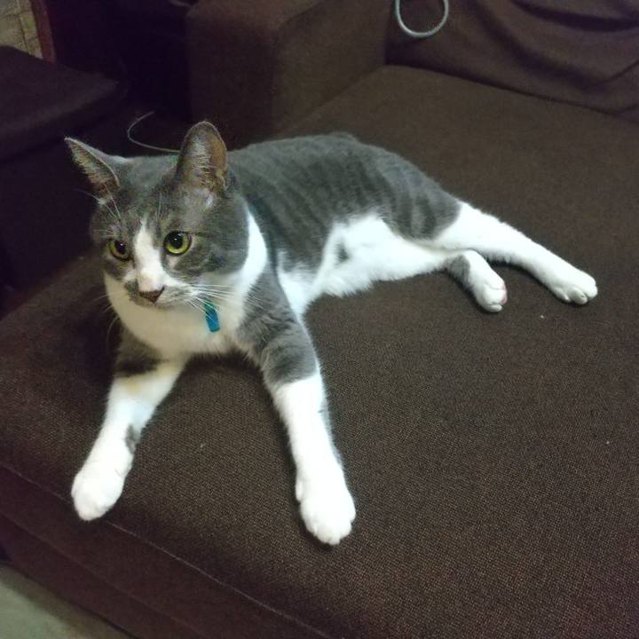 7a764ff3 4273 4382 9540 1e86ac0dbc46 1633561171121