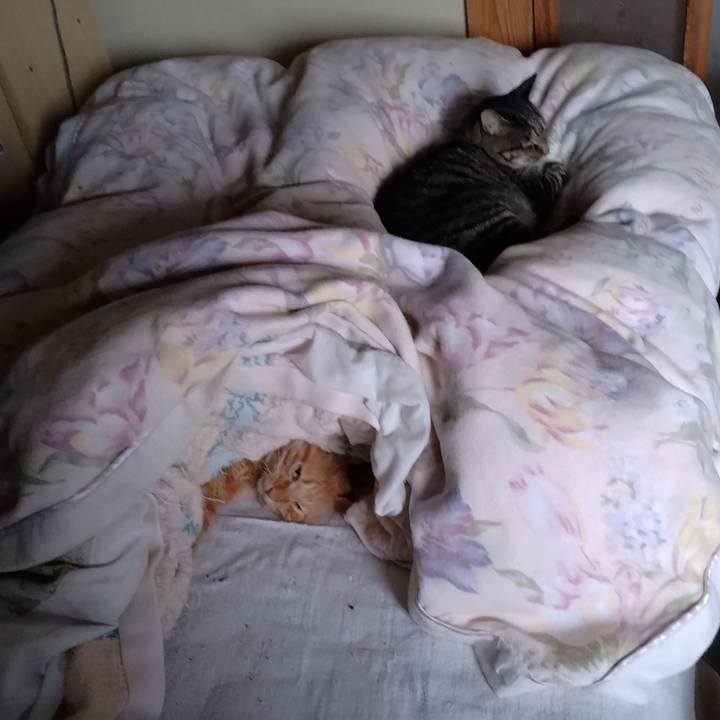 7a76a0d1 30c8 4c7b bc61 1a15ebd01c14 1696373518884