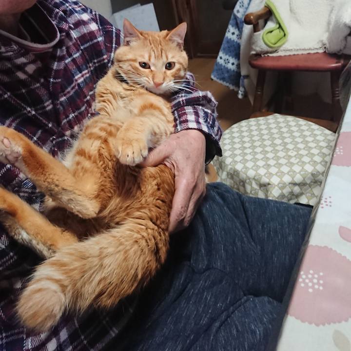 7a76e89c 1179 4097 b903 44e043a931d7 1646518403325