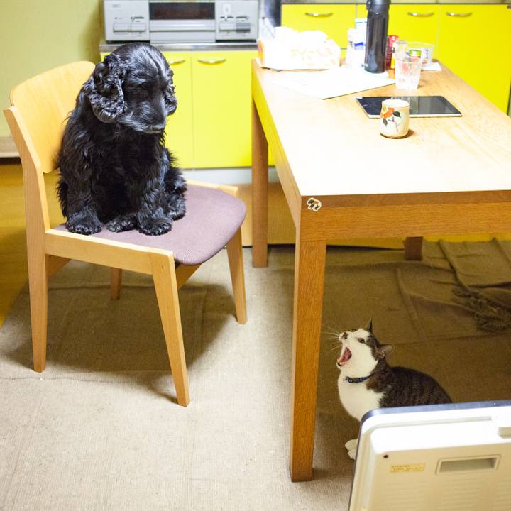 7a771477 fbb7 40f9 8924 6170ffadbd74 1549033731283