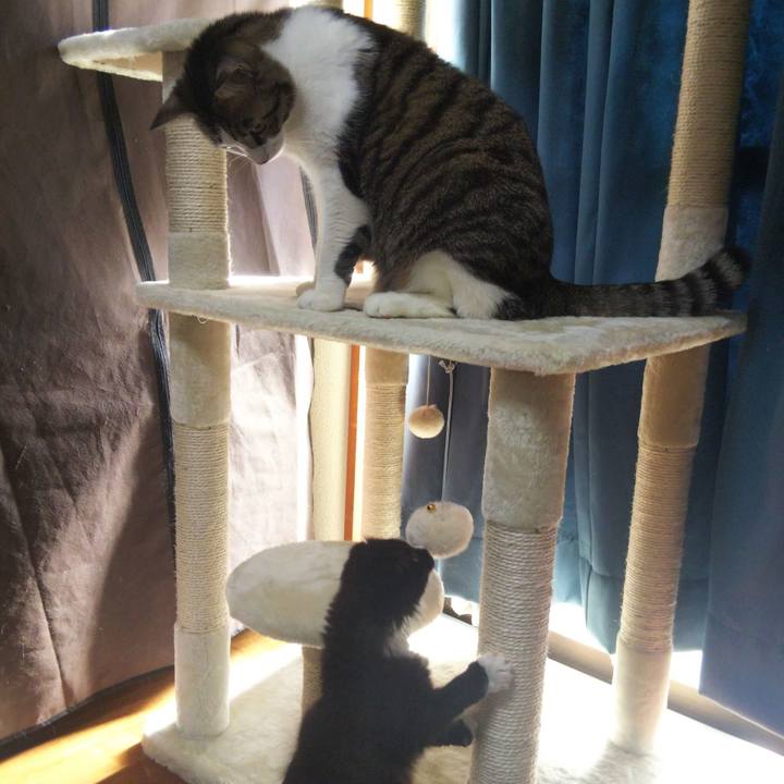 7a7732e1 0817 4bf1 bee8 ba7ff2968a75 1639192797385