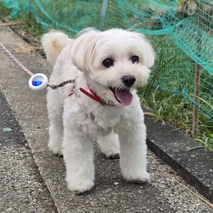 7a7746a5 e091 4d0b bb35 d954dc6dc471 1759047072601