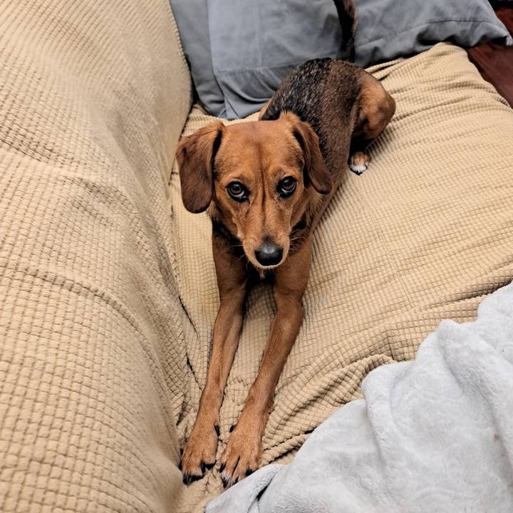 7a776141 52e8 49b3 8000 9096dbbaa9f5 1765318363201