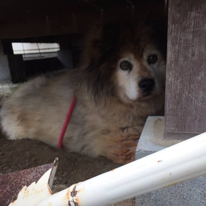 7a776654 8487 415f 9d8f d2abaf2d5db9 1626872142348