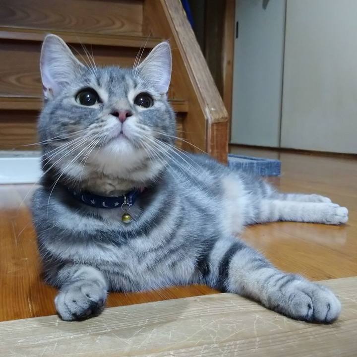 7a777498 342c 4013 8bea 36476b1bbfc8 1634990648104