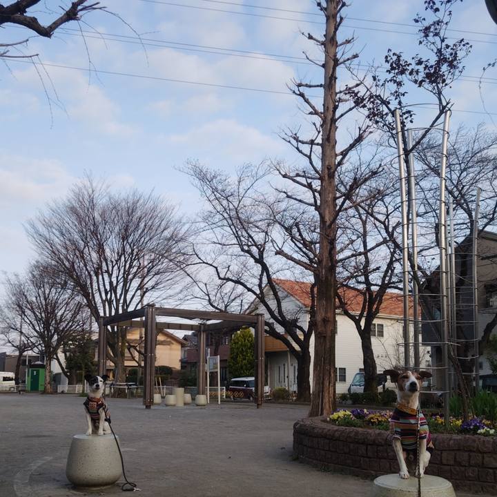 7a77a9d7 843b 4e89 aa99 a40a5a3a7913 1774130587474