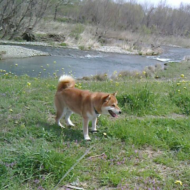 7a77e5d2 9492 43c2 a79f f5d1b9b1f87f 1522310301257