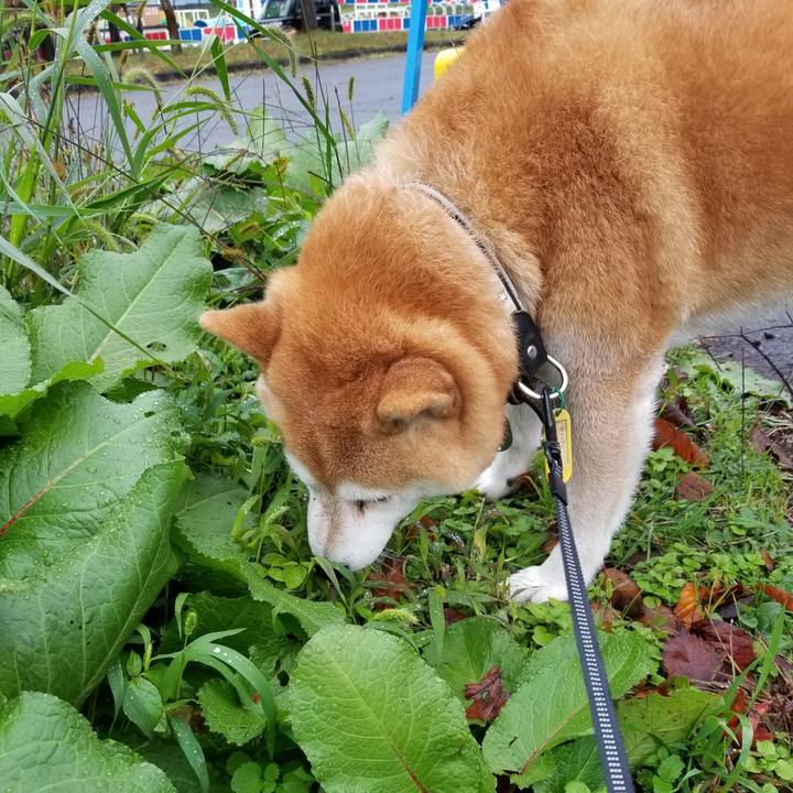 7a7806e6 cef8 4472 9c6a 131e498e2752 1603431132051