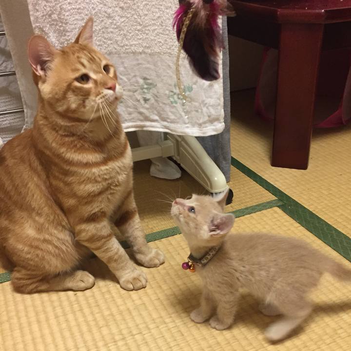 7a785da0 670b 4007 853e 5d83e873ebe1 1531399669189