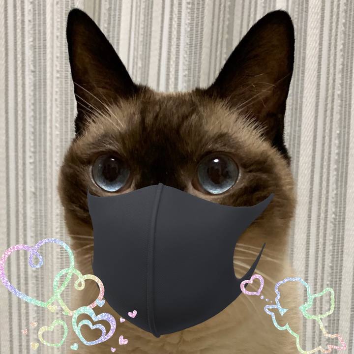 7a78cd56 8967 4c2b 9bd2 6a3f8ad0b251 1584191607562