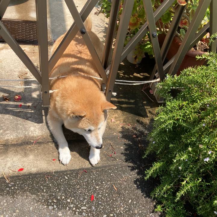 7a790a5e aed3 4be1 acce c8fc7c84e6bd 1624437937517