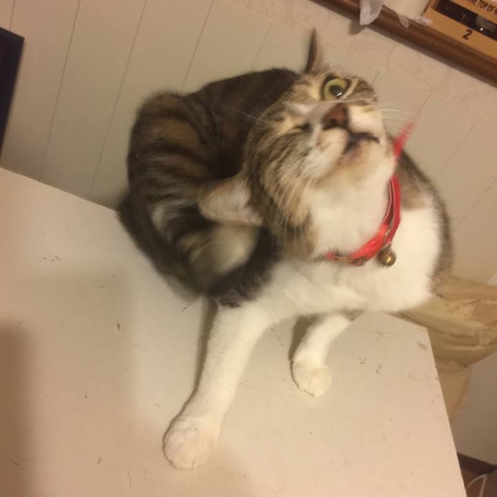 7a797689 0f95 4220 9305 cc74fb36960e 1569236467081