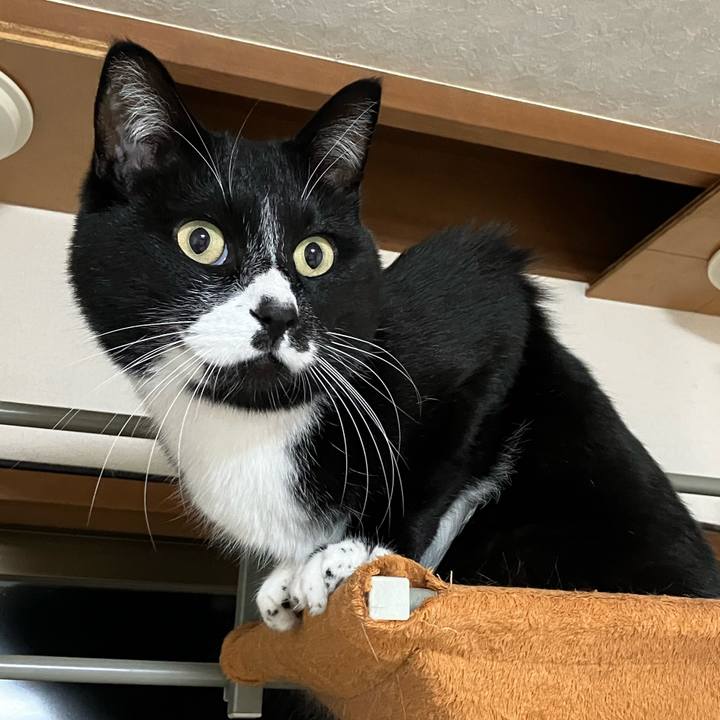 7a798aec 9d9a 4b36 84b5 2e75c493fa38 1711366711663