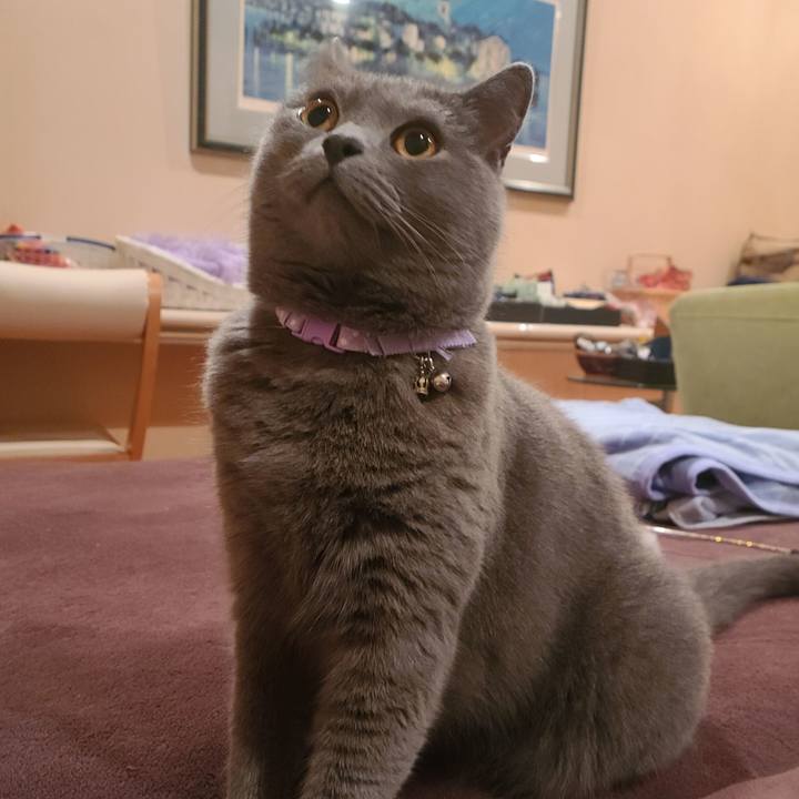 7a798c2a c7a7 428e 8584 1a19824f4b3c 1634208318010