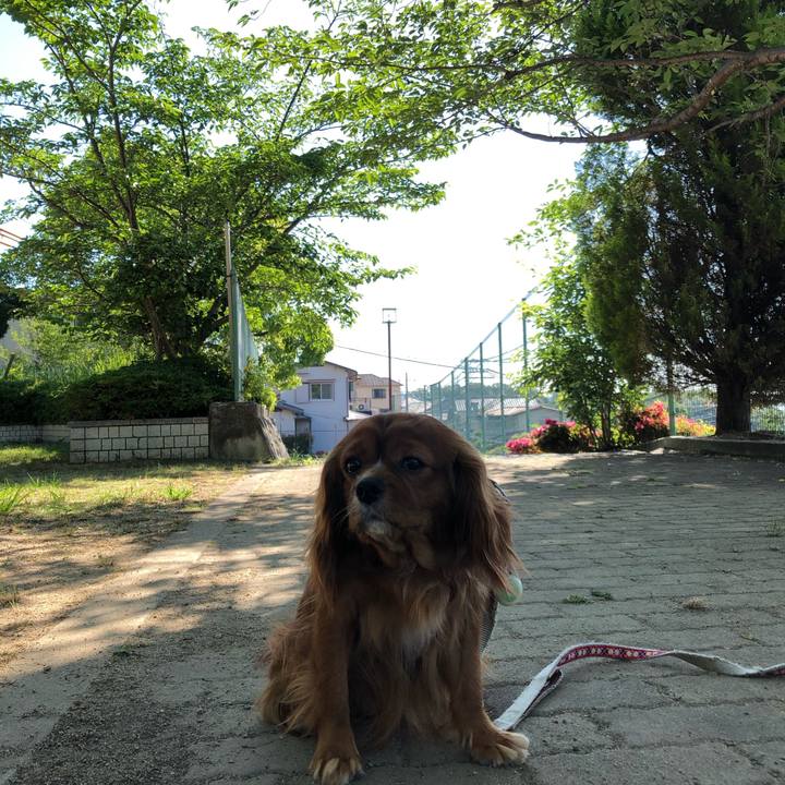 7a79911b a891 4149 8fb3 67e43c5510d7 1591485573741