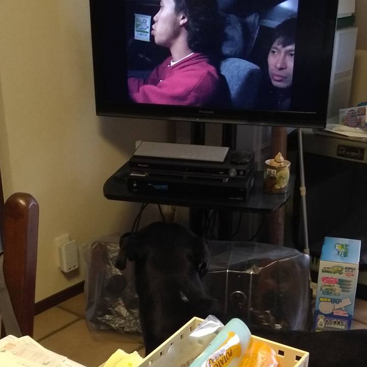 7a79b5b2 5f90 471e ac1c d4c10b25b046 1590895706301