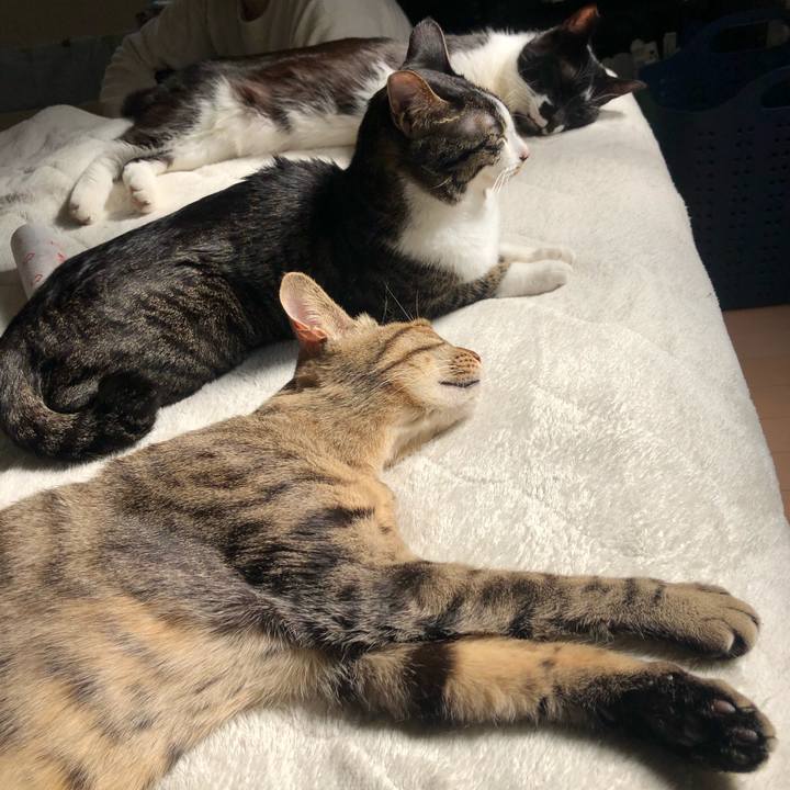 7a7a0277 f75d 4b5f 83dd 2120ba2c3b94 1614130245625