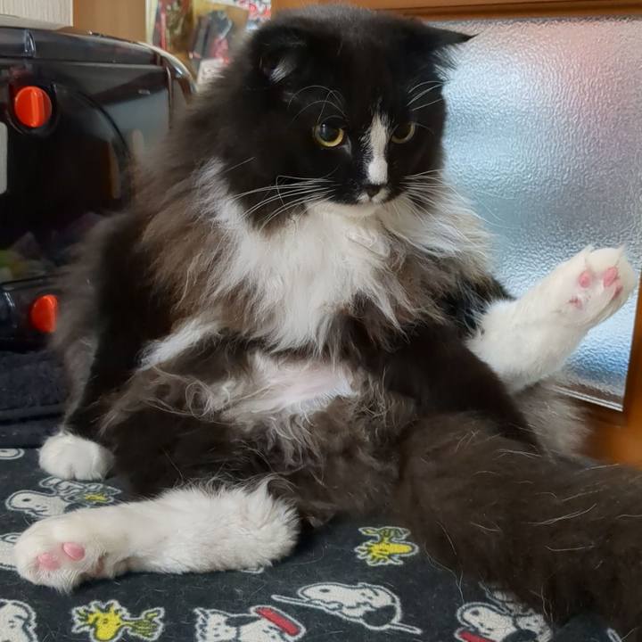 7a7a08ac a056 4087 90fb 47e358372a2d 1670890293003