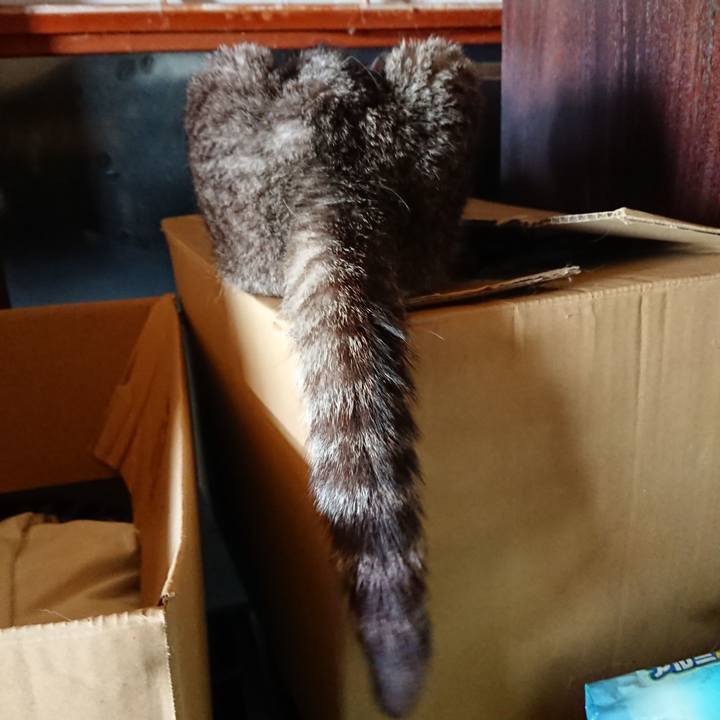 7a7a165a 6a67 45ff 897e c55282c685b4 1564808943961