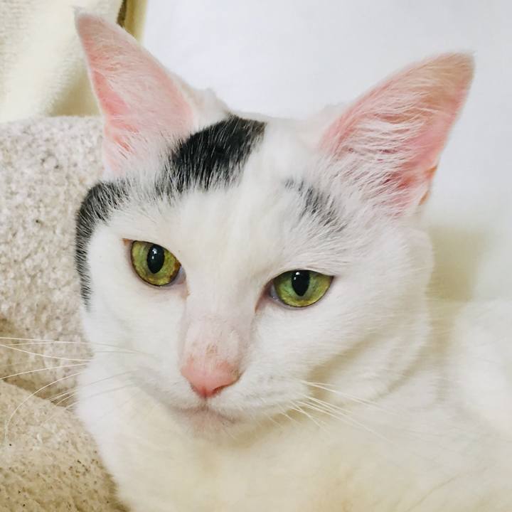 7a7a27a2 eebf 4496 984d 9f588e97474b 1565503577166