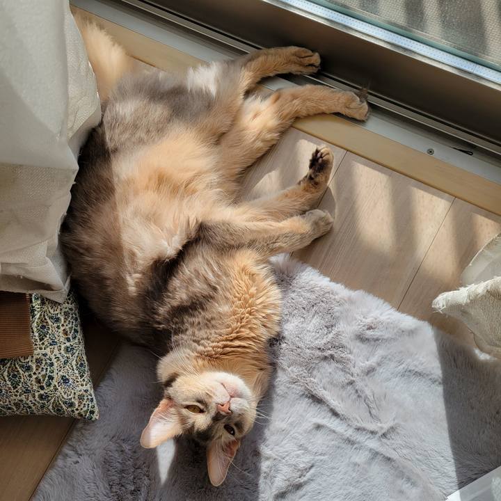 7a7a538a 9400 4335 8fc1 04f7a53f3809 1637751747283