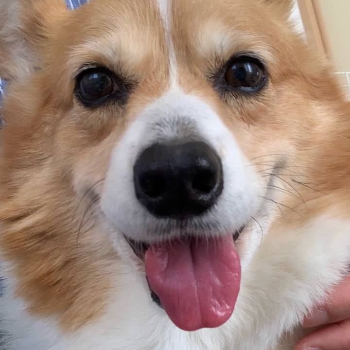 7a7a6faa bd85 45ff b4f1 f31522cd3786 1711845912462