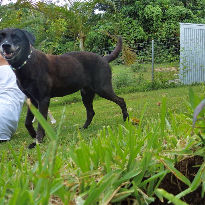 7a7a7168 ecd4 470e a174 c603eed5ad7a 1539660404075