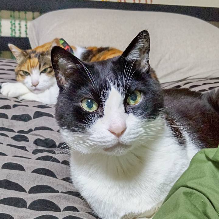 7a7a72c6 dc5a 4044 ace5 d559114b87cb 1650449023509