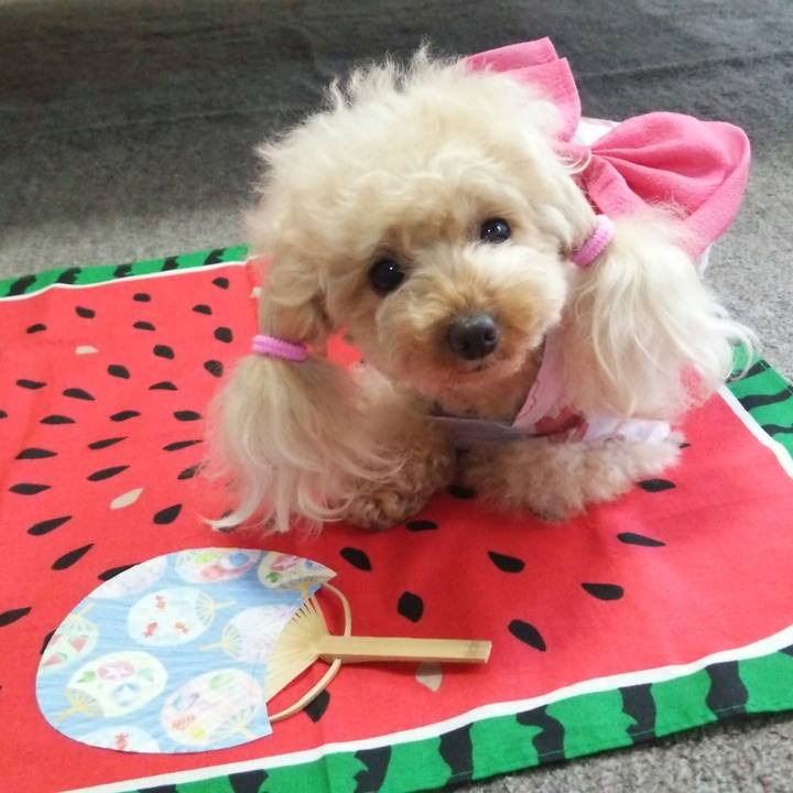 7a7a7dc8 b056 49d4 926e 1e426fe00da5 1529581293254