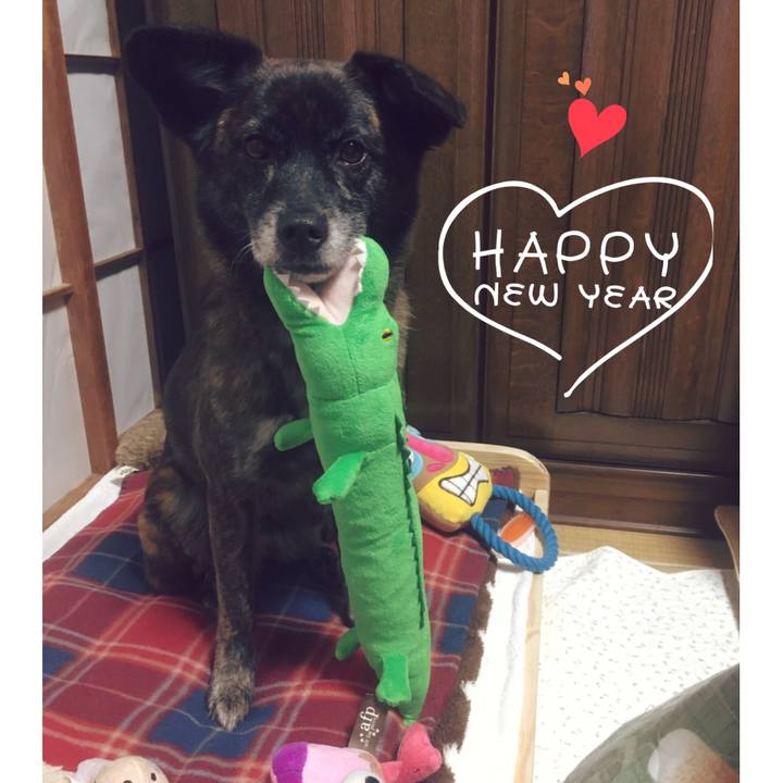 7a7a7f38 623e 40db b455 3b7e7b3e6af4 1546348256580