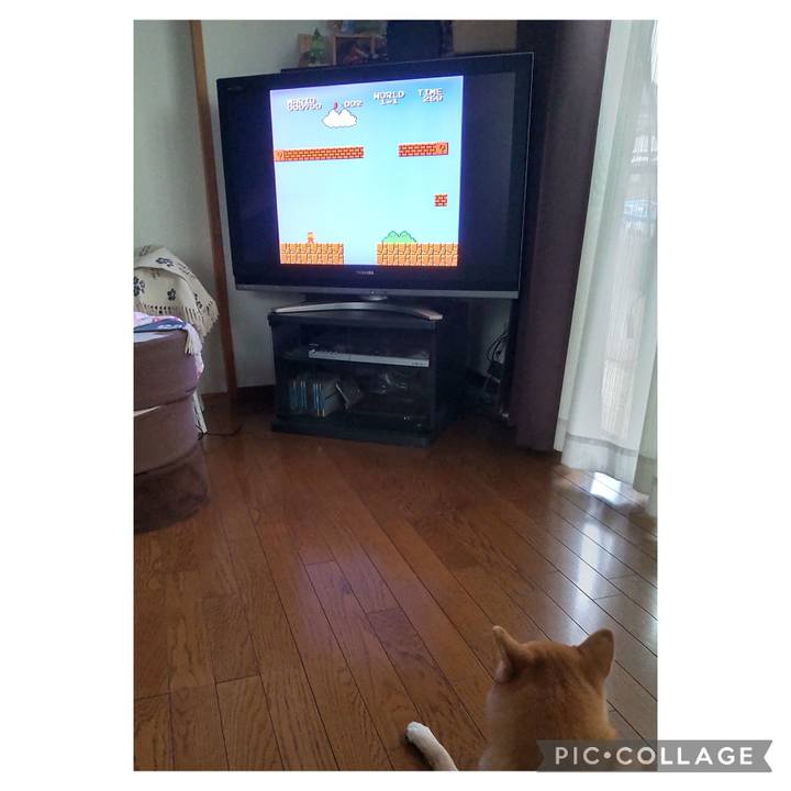 7a7aad7a 1b50 4694 80f5 c7e6e7d41c8a 1696058619497