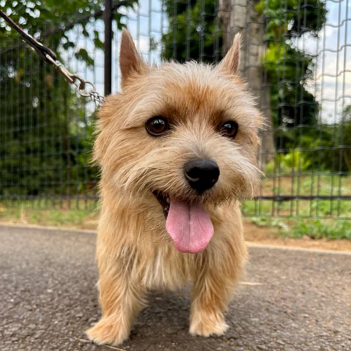 7a7ab2cb 4909 4cc3 9d27 1bbe4aa2a822 1756347884316