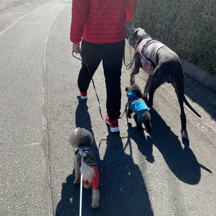 7a7abfa4 6d7c 49dd 983c 7afca1138e04 1612587252061