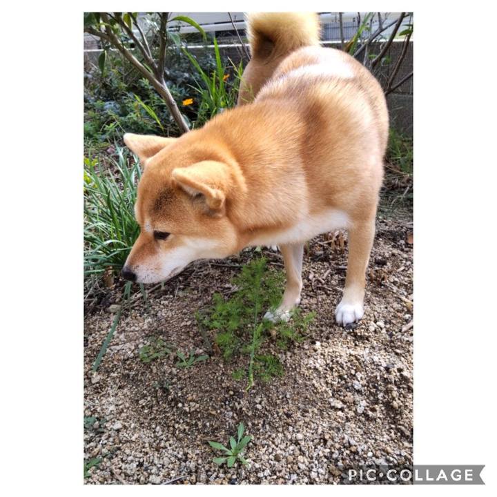 7a7adf6f 8394 4455 afd4 a3075c2a258c 1669085316955