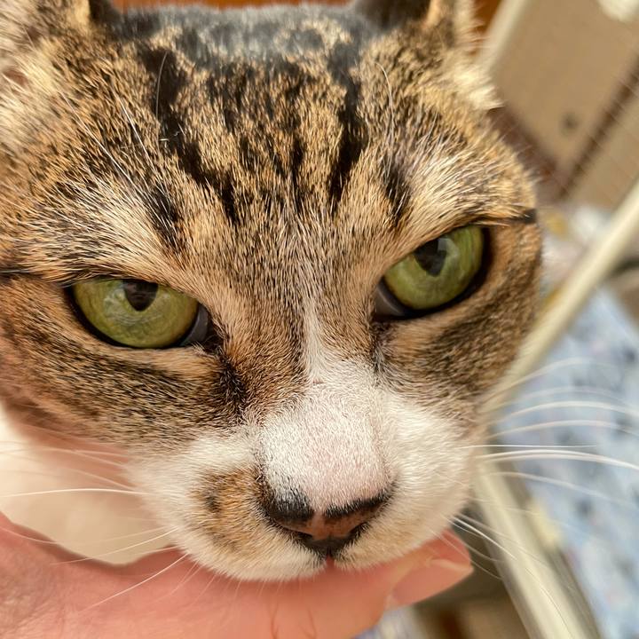 7a7af1d2 5b11 4382 a17c c85c366ed53e 1619834055050