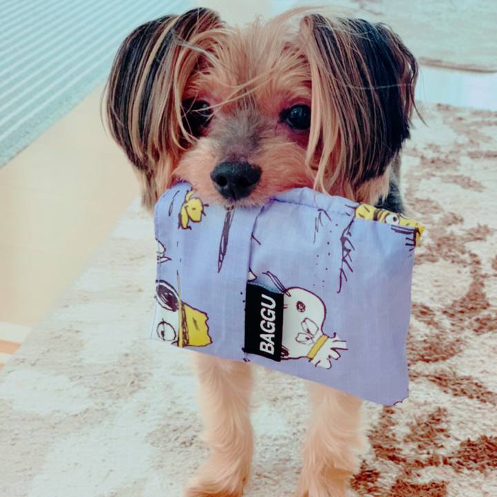 7a7b0612 6764 4518 a419 9edf072ecef0 1592711811081