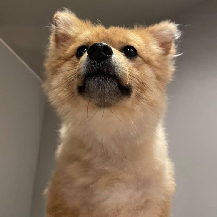 7a7b1135 72b7 48a8 b2dd 888f33d9417e 1651898489984