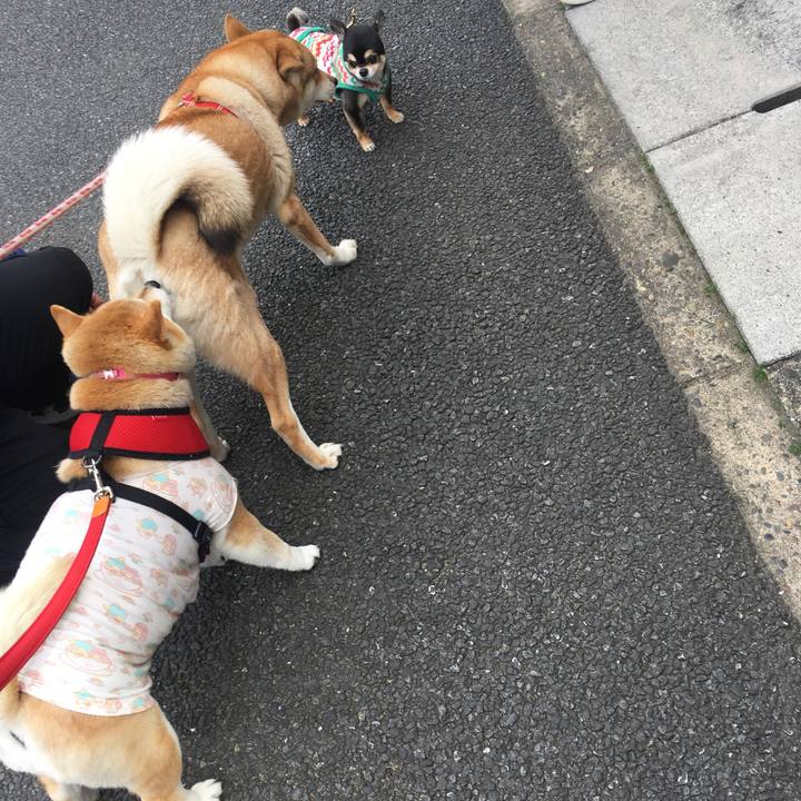 7a7b4c30 bf5d 428f a6a1 b652a265f1f7 1584427376023