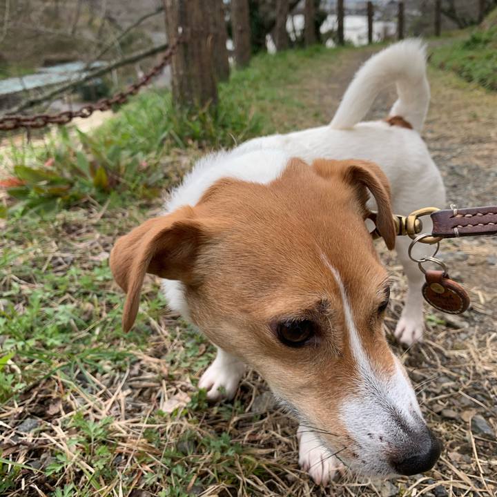 7a7b63c0 e0f7 42a7 a50a 214864e1904b 1582956037307