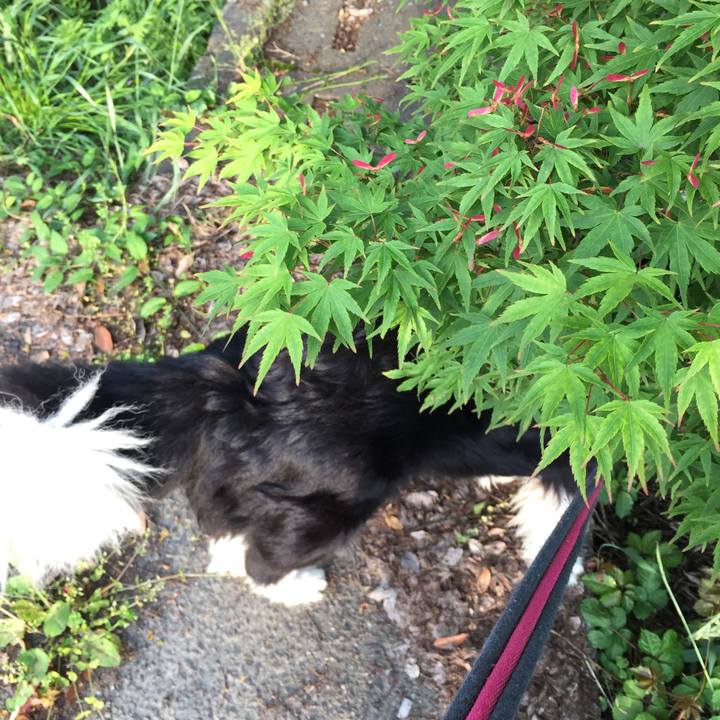 7a7bb593 9abb 432a 8874 e3df064b5ae6 1556839767575