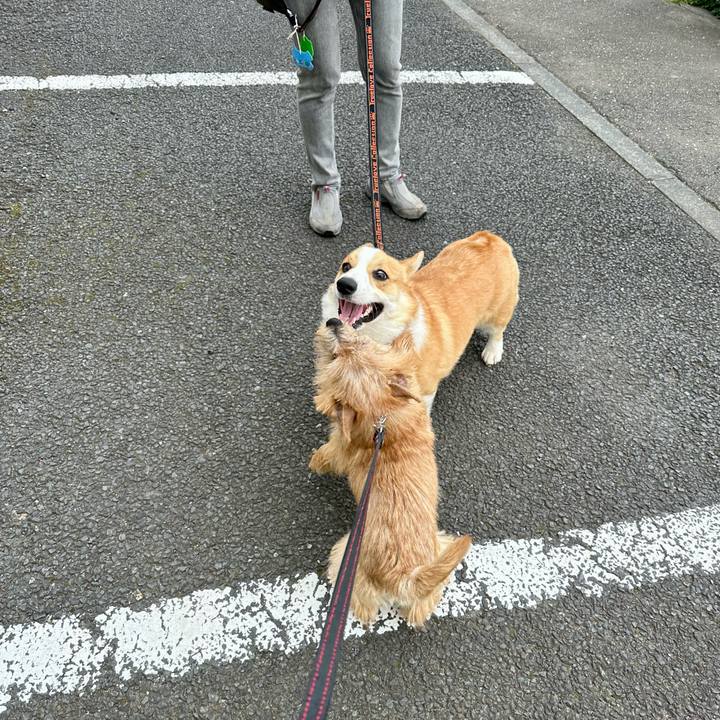 7a7bd3a6 3fe9 43e4 9a0a c698e213f55d 1716109575627