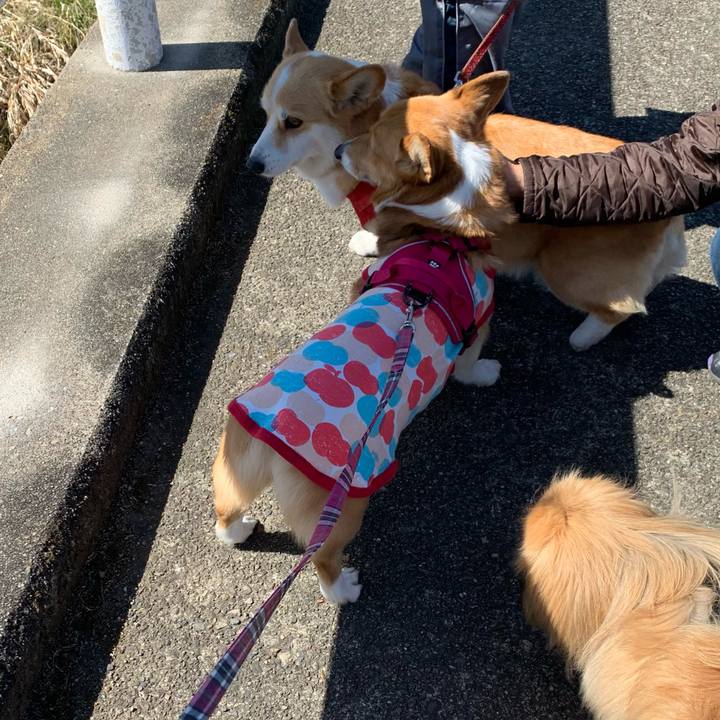 7a7bd49f 7d8d 4350 9309 52482b86e3b0 1614742539838