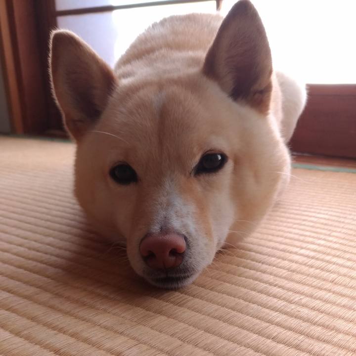 7a7bd4e4 debc 4b86 a512 b1680c84f05b 1555112653237