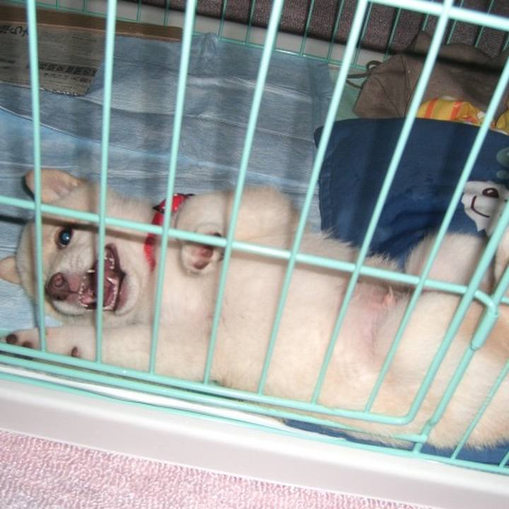 7a7bda3c 50b5 4bfd 9c6c 84e81def575b 1639646017746